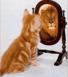 self confidence